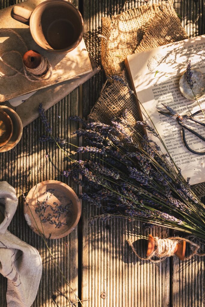 Fotografia kulinarna zioła: fioletowa lawenda w ogrodzie, profesjonalna sesja roślin kulinarnych