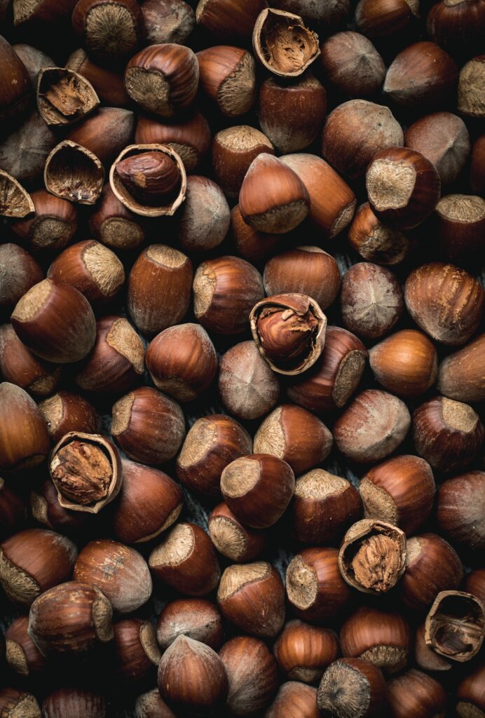 Fotografia kulinarna owoce: świeże orzechy laskowe, artystyczna sesja żywności