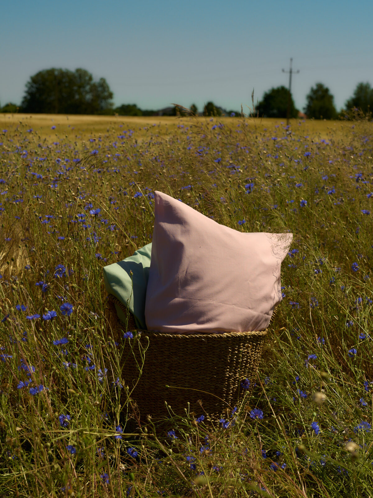 Sesja aranżacyjna Babie Lato: poduszki w koszu na łące, naturalna stylizacja produkt&oacute;w
